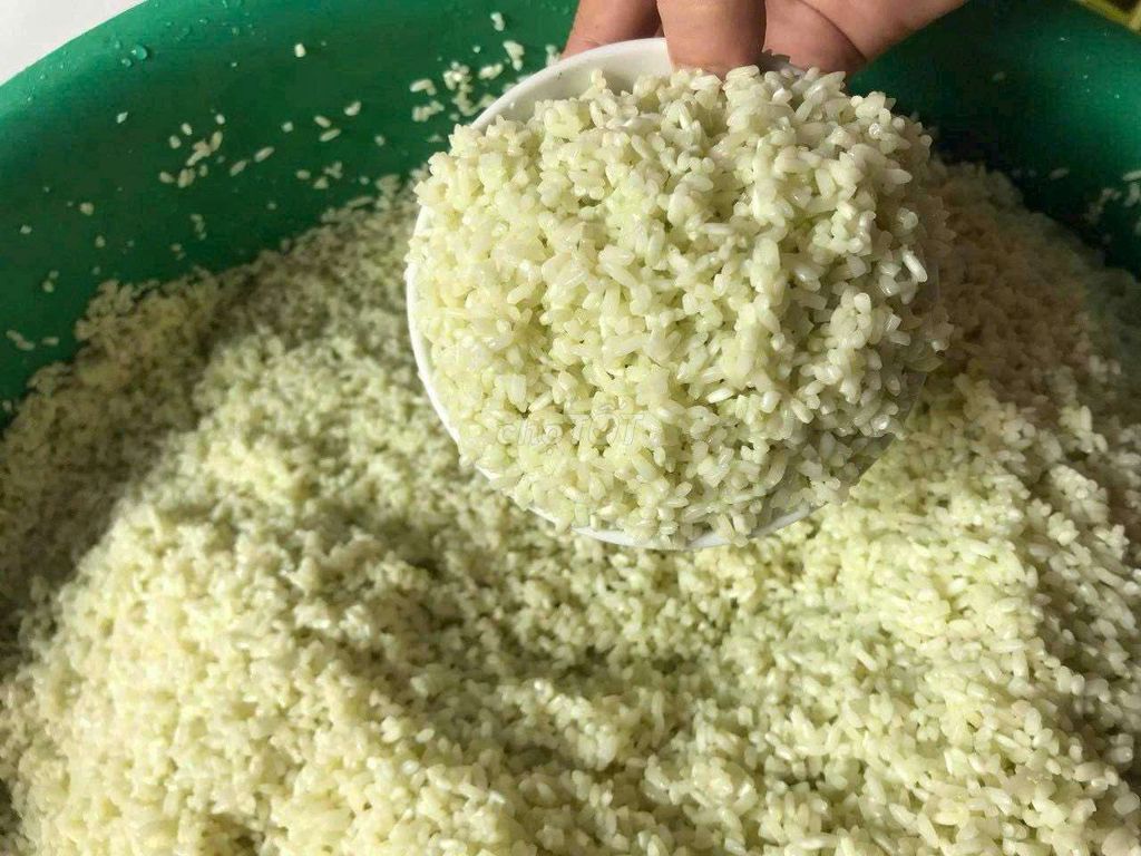 Bánh chưng truyền thống 2.2kg mặn. Mua bán Đồ ăn, thực phẩm và các loại khác tại Quận 12 Tp Hồ Chí Minh được đăng bởi Văn bắc hình 1