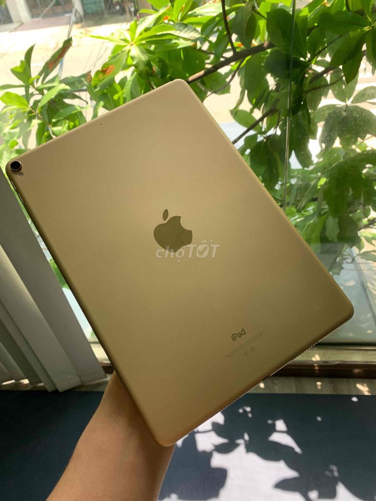 Apple iPad Pro 10.5 inch Vàng. Mua bán Máy tính bảng tại Quận Bình Tân Tp Hồ Chí Minh được đăng bởi Min Ngoc hình 1
