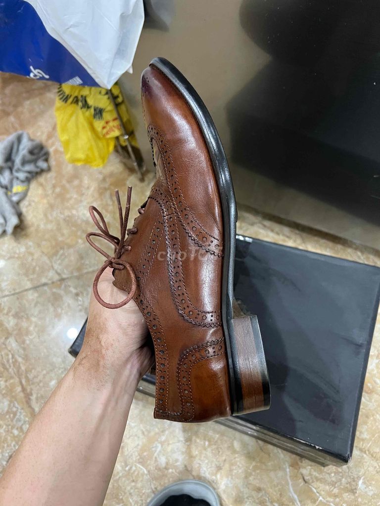 giày oxford wingtip alessandro luigi sỉze 41