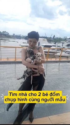 Tìm nhà cho 2 bé đốm chụp hình cùng người mẫu