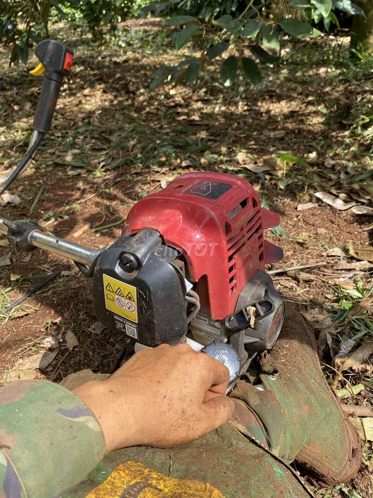 Máy cắt cỏ Honda GX50. Mua bán Đồ chuyên dụng, Giống nuôi trồng tại Thị Xã Buôn Hồ Đắk Lắk được đăng bởi Thanh Haii hình 1