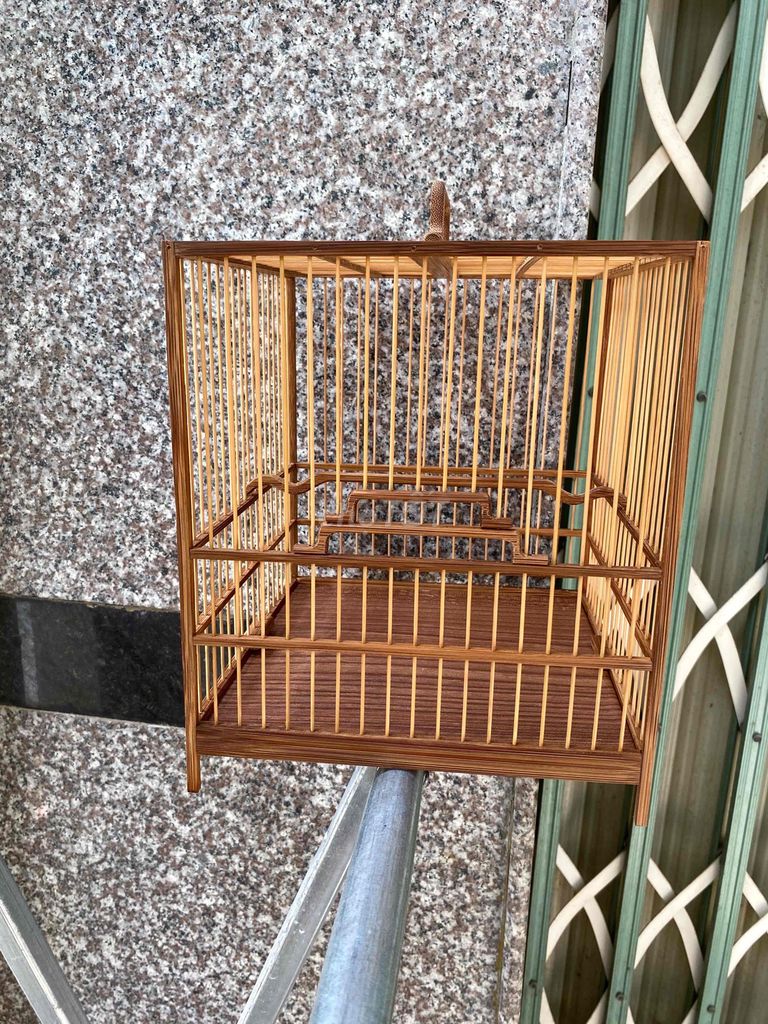 Lồng huý mật óc mít để bàn. Mua bán Chim tại Quận Ninh Kiều Cần Thơ được đăng bởi An hình 1