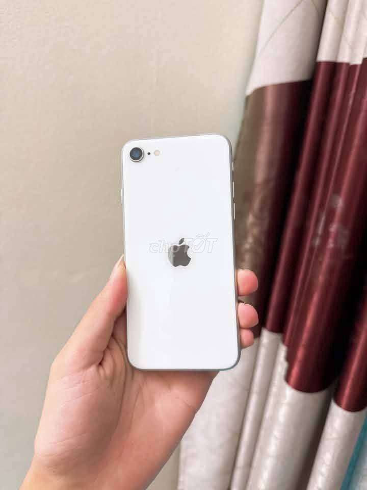 Apple iPhone SE 2 64GB Trắng Màn lô. Mua bán Điện thoại tại Huyện Bắc Bình Bình Thuận được đăng bởi dang truongg hình 1