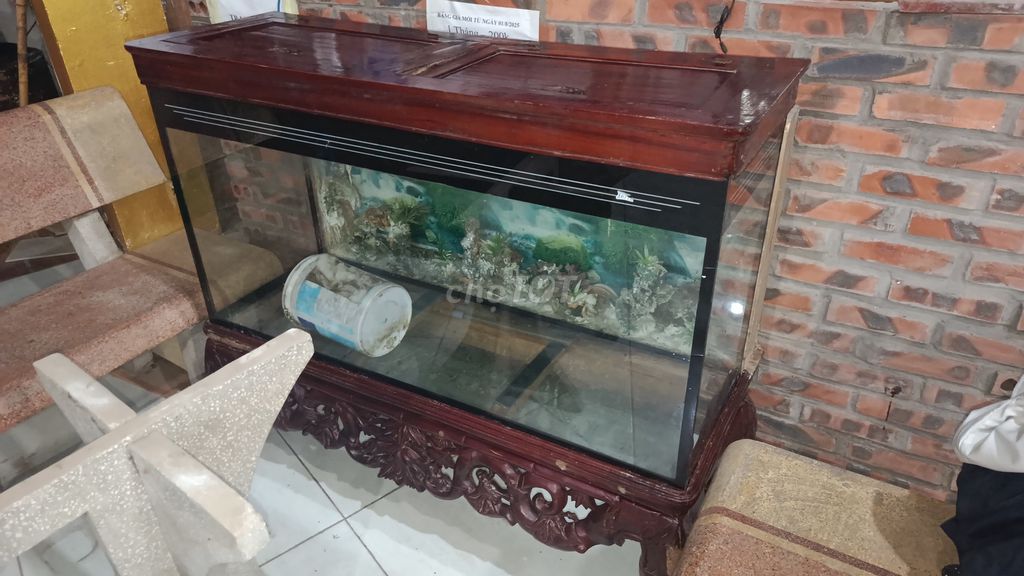 Bể cá cảnh đẹp. Mua bán Phụ kiện, Thức ăn, Dịch vụ tại Huyện Hoài Đức Hà Nội được đăng bởi _Not _Found Kobt hình 1