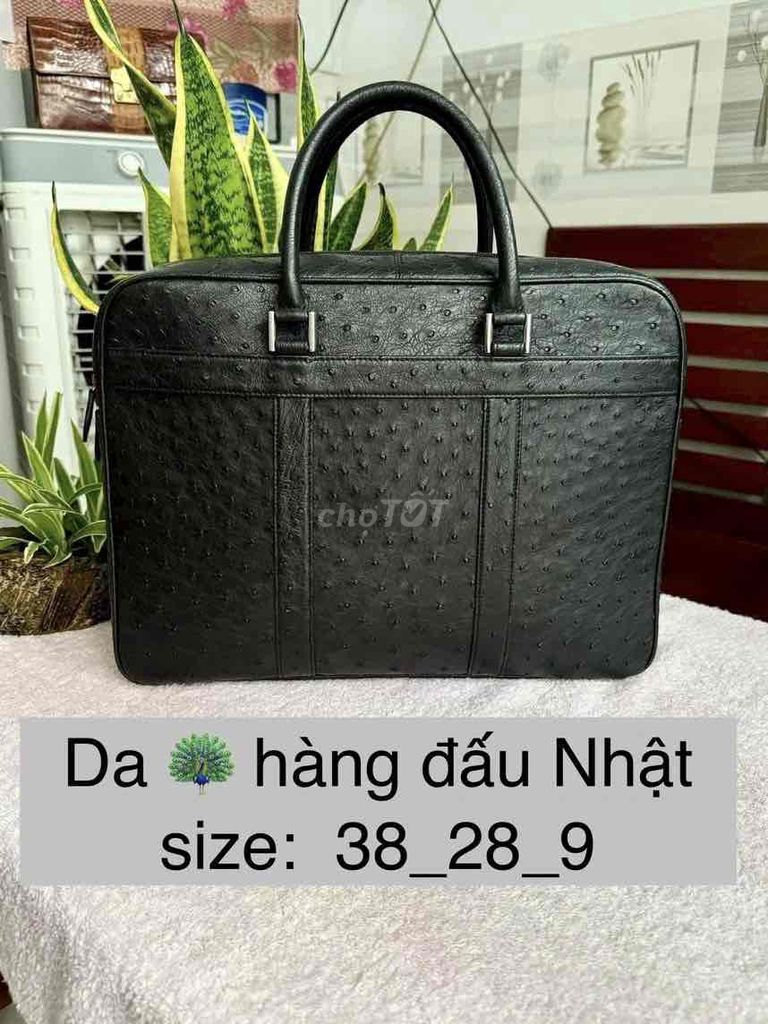 Hàng đấu giá trưng bày size 38x28x9