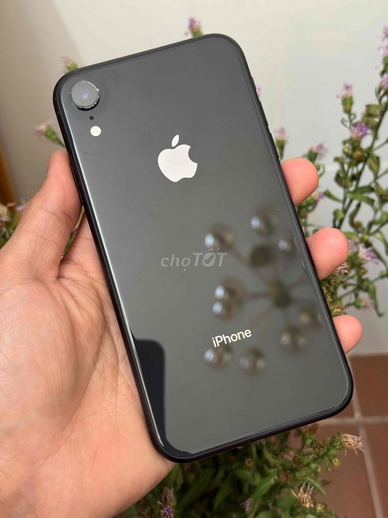 Apple iPhone XR 64GB Đen quốc tế zin áp. Mua bán Điện thoại tại Thành phố Đà Lạt Lâm Đồng được đăng bởi nhanh gọn lẹ hình 1