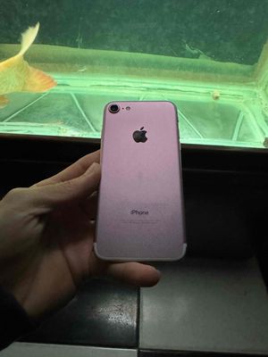 Apple iPhone 7 32GB Hồng Đã sử dụng