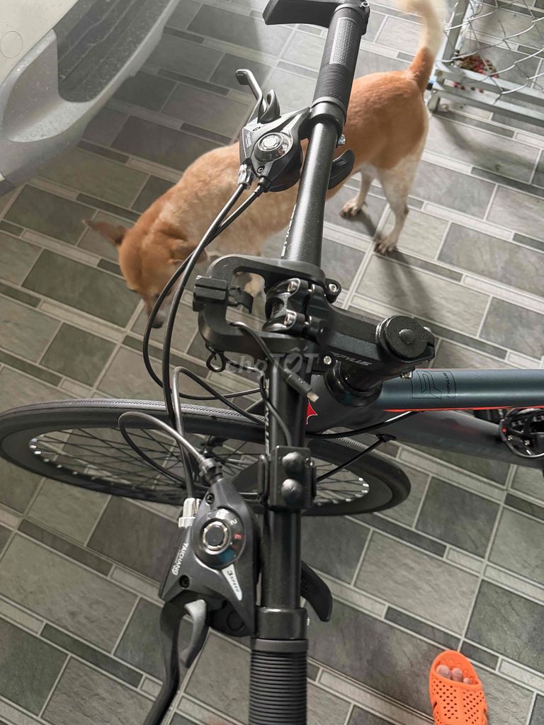 BÁN xe đạp touring papylus pt600 ghi đen. Mua bán Xe đạp tại Huyện Củ Chi Tp Hồ Chí Minh được đăng bởi Hoàng Nam hình 4