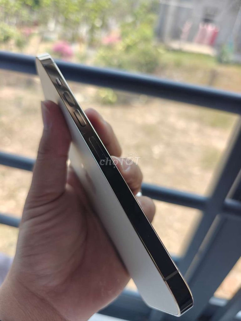 Apple iPhone 13 Pro Max 128GB Vàng. Mua bán Điện thoại tại Thành phố Tây Ninh Tây Ninh được đăng bởi Trần minh quân hình 1