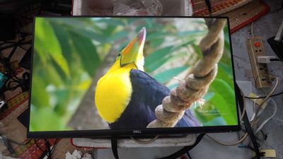 Màn Dell 27in S2721HN. Mua bán Phụ kiện (Màn hình, Chuột...) tại Thành phố Biên Hòa Đồng Nai được đăng bởi Tân mùi