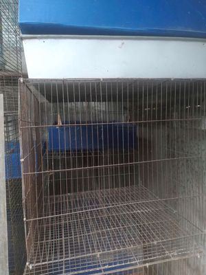 Thanh lý chuồng nuôi gà và chim bồ câu. Mua bán Phụ kiện, Thức ăn, Dịch vụ tại Quận Gò Vấp Tp Hồ Chí Minh được đăng bởi Trại Gà Kiểng GV