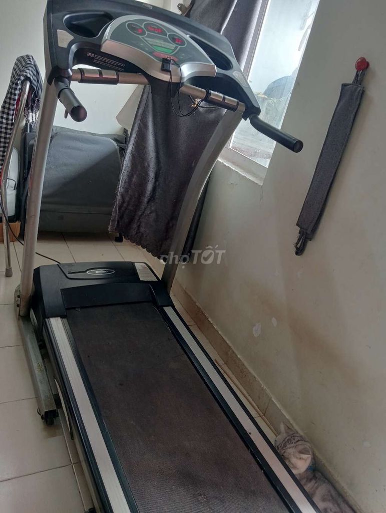 Máy chạy bộ Tempo Fitness T931 Đen, xám Còn mới