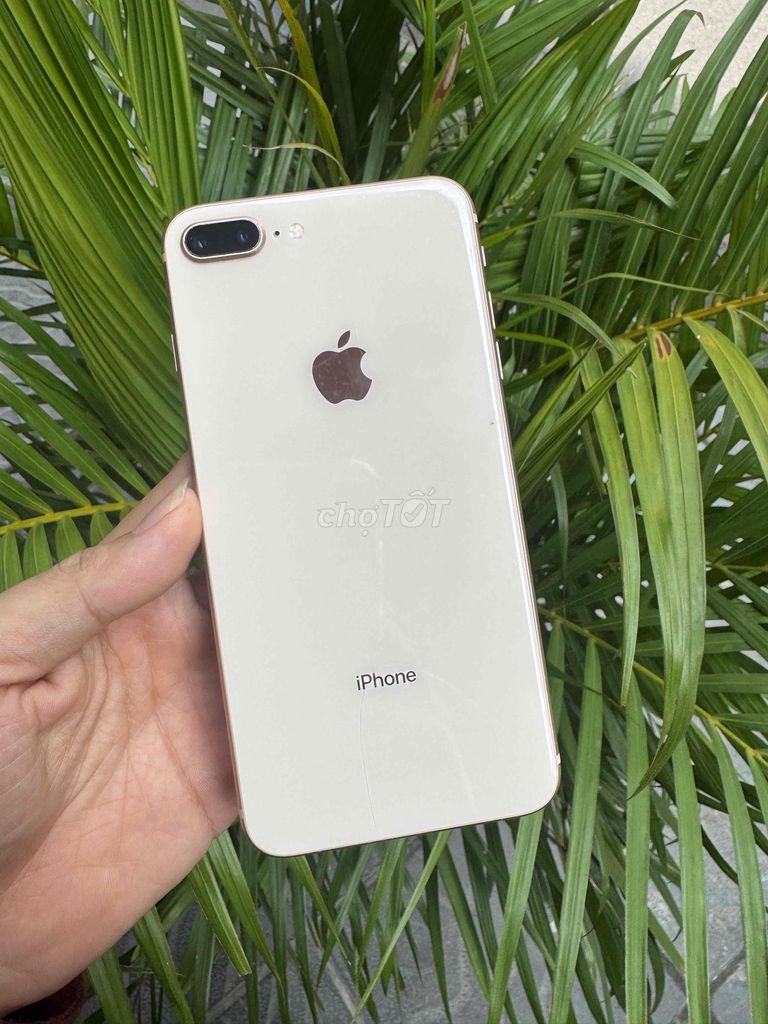 iPhone 8 Plus 64GB Quốc Tế zin áp CÓ COD. Mua bán Điện thoại tại Quận Hoàng Mai Hà Nội được đăng bởi Gia Vinh hình 1