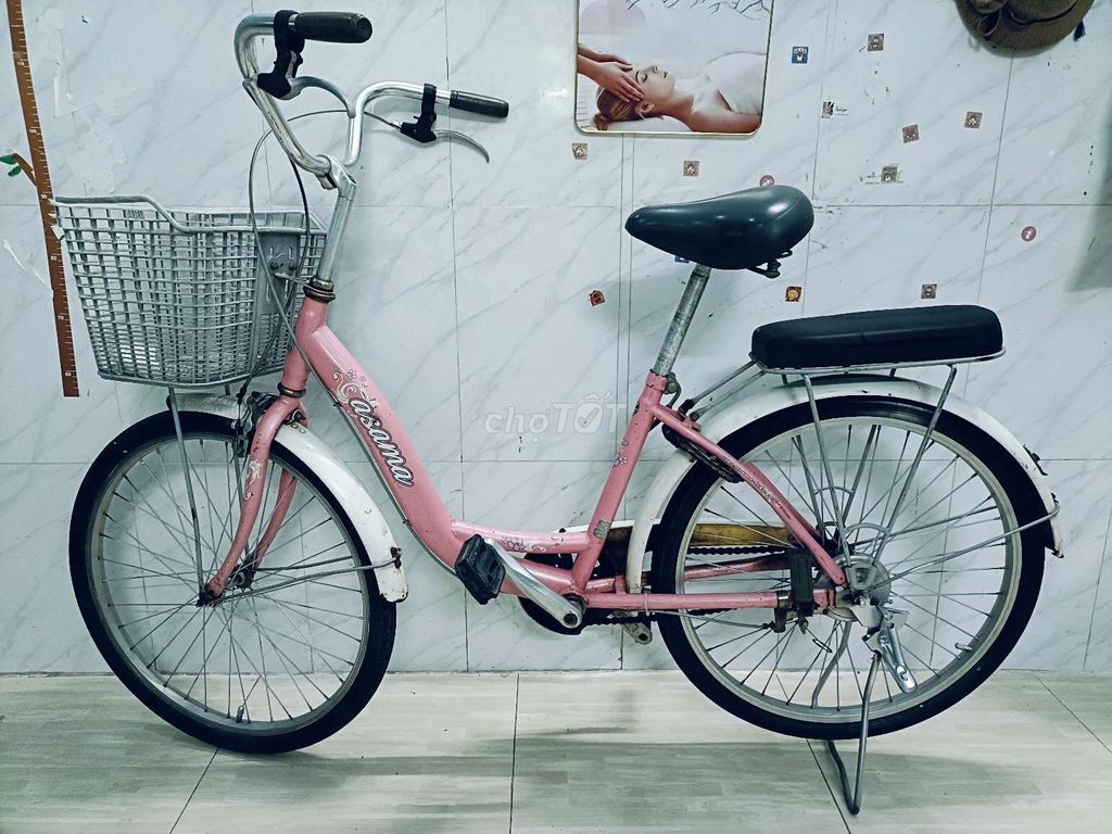 Xe đạp mini 24 inch ASAMA PINK