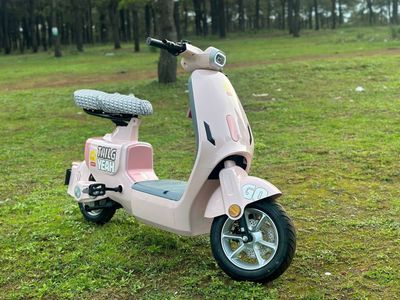 Xe đạp điện TaiLG GR55 hàng chính hãng TAIWAN. Mua bán Xe điện tại Huyện Trảng Bom Đồng Nai được đăng bởi Đồng Đức