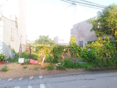 Đất 194 m² · Đường Nguyễn Văn Ni