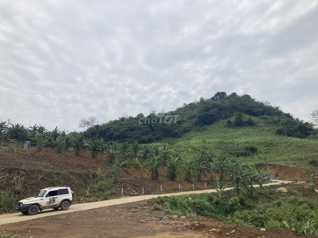 Ảnh số 2