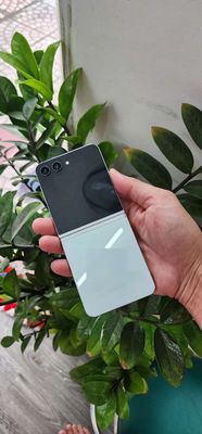 Thanh lý Zflip 5 512G, Chính hãng, Có Bảo hành. Mua bán Điện thoại tại Quận Phú Nhuận Tp Hồ Chí Minh được đăng bởi NGUYÊN THẢO MOBILE Trả Góp