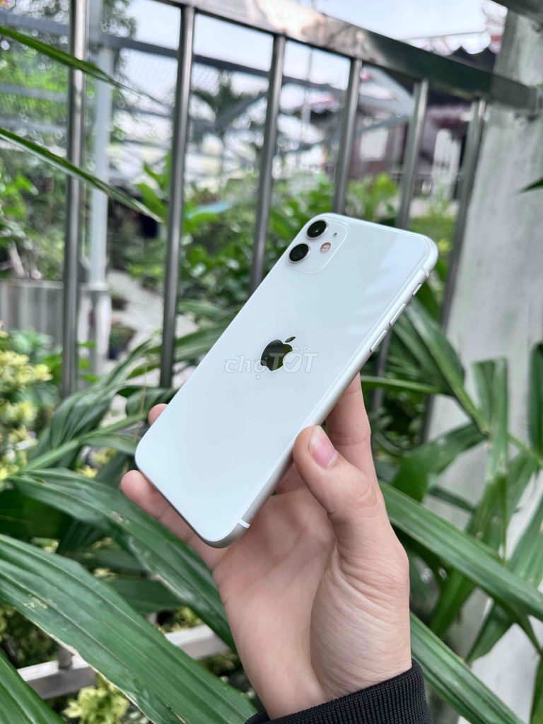 iPhone 11 64GB Quốc tế zin keng