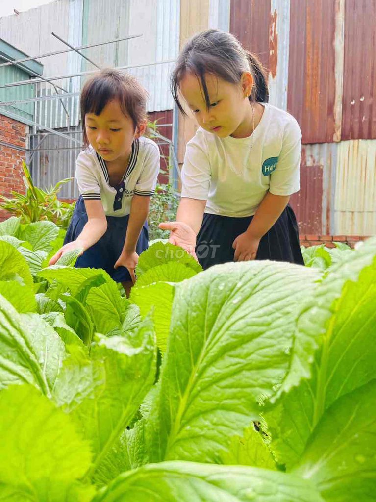 Cần tuyển bảo mẫu