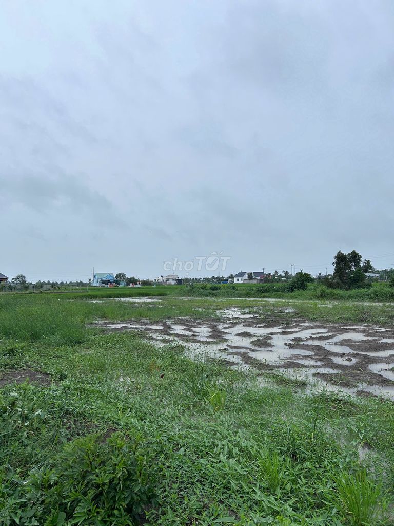 Cần Bán 3 Miếng Đất 500m2, 655m2, 1655m2, Ấp 3 xã Long An Cần Giuộc. Mua bán đất tại Huyện Cần Giuộc Long An được đăng bởi Hưng Phát hình 4