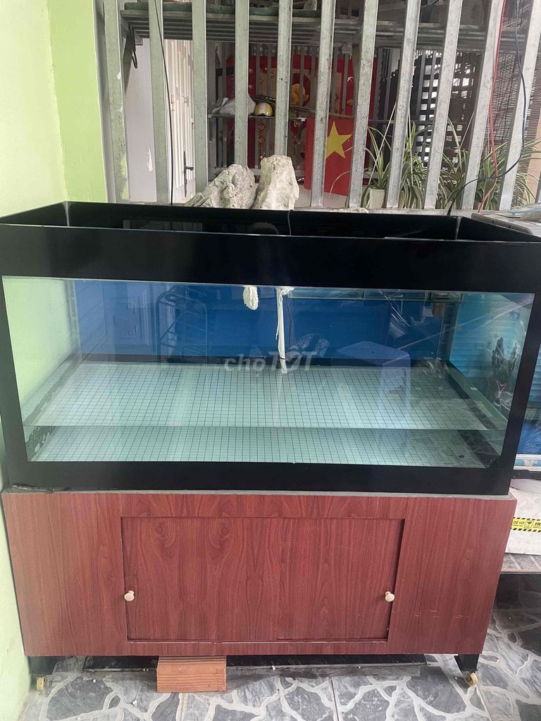 Bể cá 1.2m x 0,6m có tủ lọc bơm màu đen. Mua bán Phụ kiện, Thức ăn, Dịch vụ tại Thành phố Biên Hòa Đồng Nai được đăng bởi Yêu động vật hình 1