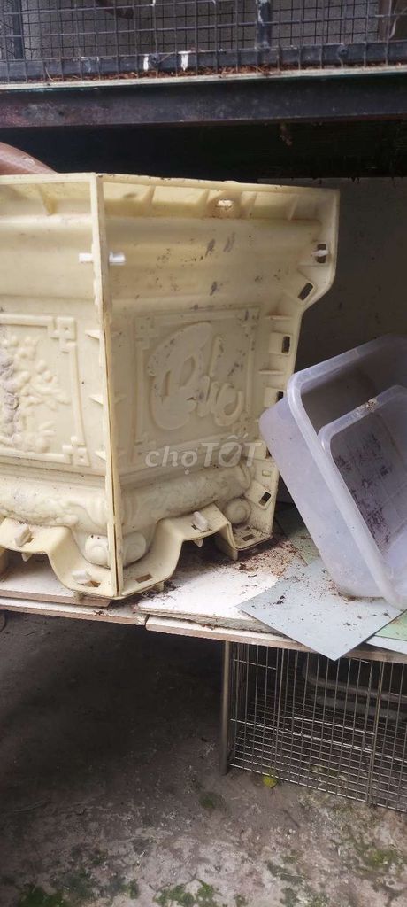Khuôn đúc chậu cảnh nhựa vàng kem. Mua bán Cây cảnh, đồ trang trí tại Huyện Trảng Bom Đồng Nai được đăng bởi Gialâm hình 1