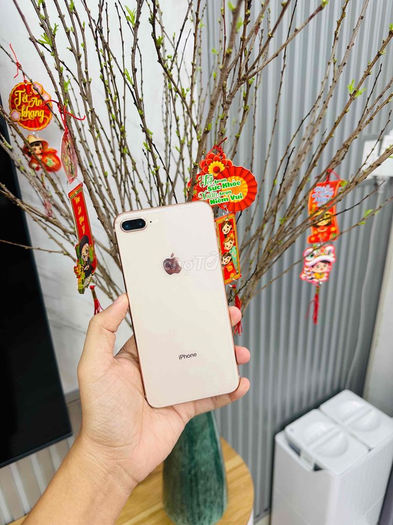 iPhone 8 plus 64GB Quốc tế Full