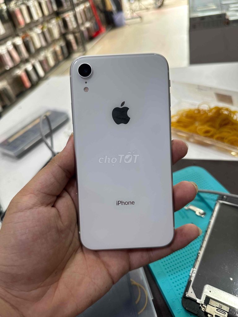 Apple iPhone XR 64GB Trắng. Mua bán Điện thoại tại Thành phố Biên Hòa Đồng Nai được đăng bởi Mai Văn Thịnh hình 1