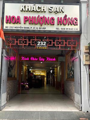 công ty tnhh khách sạn hoa phượng hồng