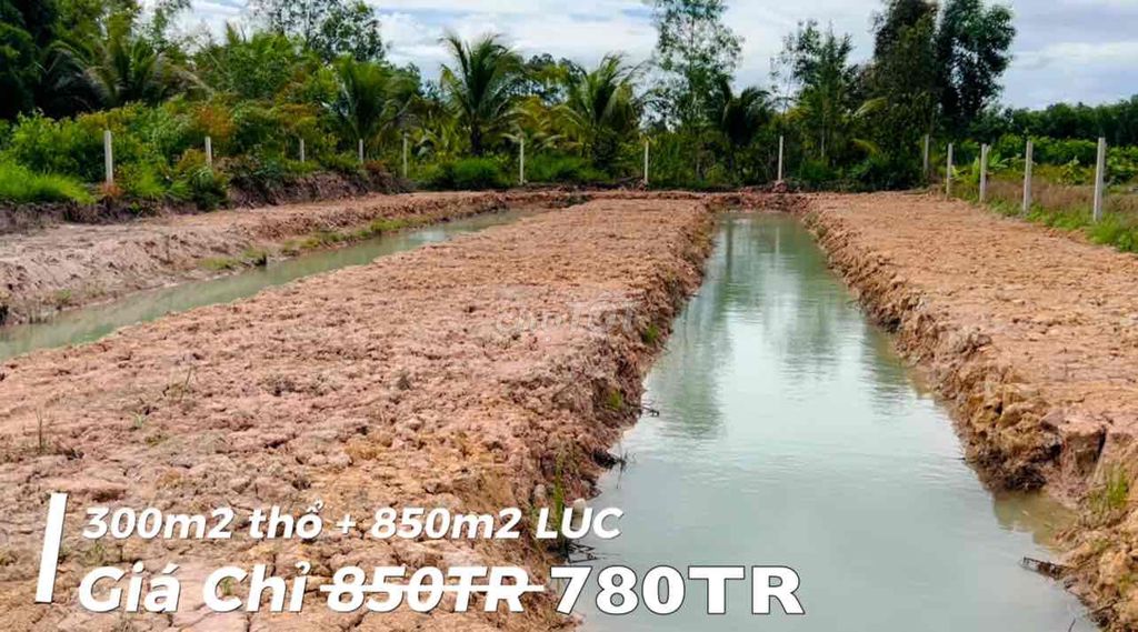 1200m2 có thổ cư 300m2 (780tr), đã lập vườn, đầy đủ hệ thống tưới tiêu