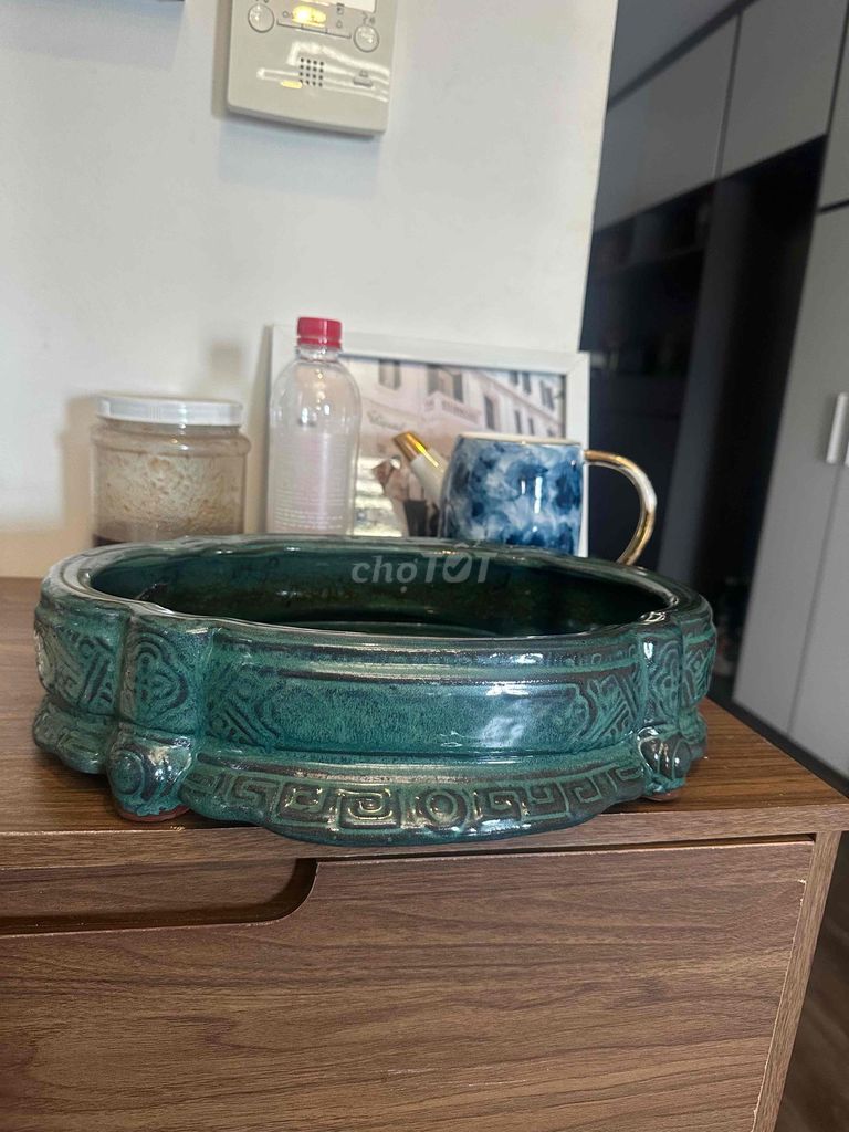 Chậu trồng cây Men ngọc Xanh ngọc 30cm. Mua bán Cây cảnh, đồ trang trí tại Quận Hoàng Mai Hà Nội được đăng bởi Tuấn hình 1