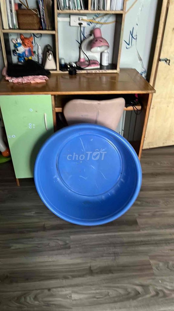 Chậu nhựa Xanh dương. Mua bán Cây cảnh, đồ trang trí tại Quận Hoàng Mai Hà Nội được đăng bởi Thuy hình 1