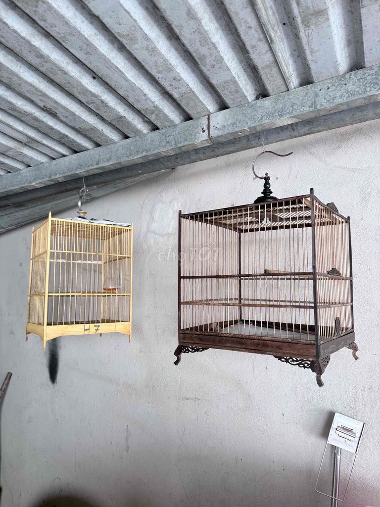 Lồng chim. Mua bán Phụ kiện, Thức ăn, Dịch vụ tại Thành phố Huế Thừa Thiên Huế được đăng bởi Thiên  hình 1