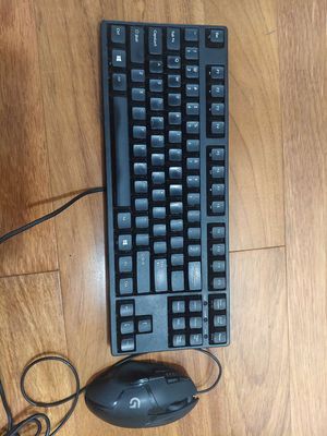 Bàn phím cơ Filco, chuột Logitech Gaming. Mua bán Phụ kiện (Màn hình, Chuột...) tại Thành phố Thủ Đức Tp Hồ Chí Minh được đăng bởi trần vinh
