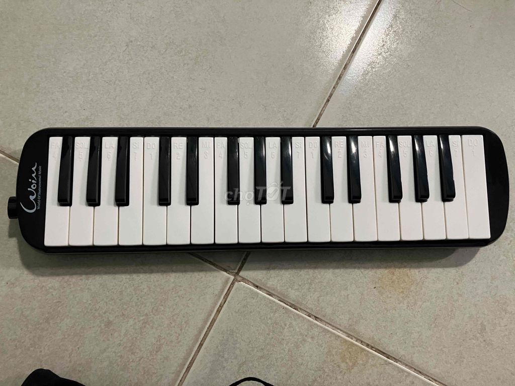 kèn pianica melodica. Mua bán Nhạc cụ tại Huyện Hóc Môn Tp Hồ Chí Minh được đăng bởi Anh Cao hình 3