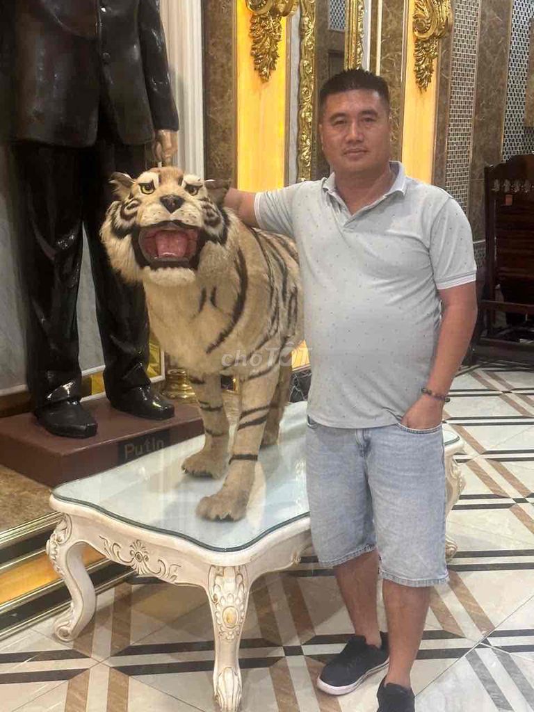 công ty vũ thành phát cần tuyển 10 tài xế bằng FC. Việc làm Tài xế ô tô tại Thành phố Biên Hòa Đồng Nai được đăng bởi Linh Nguyen hình 1