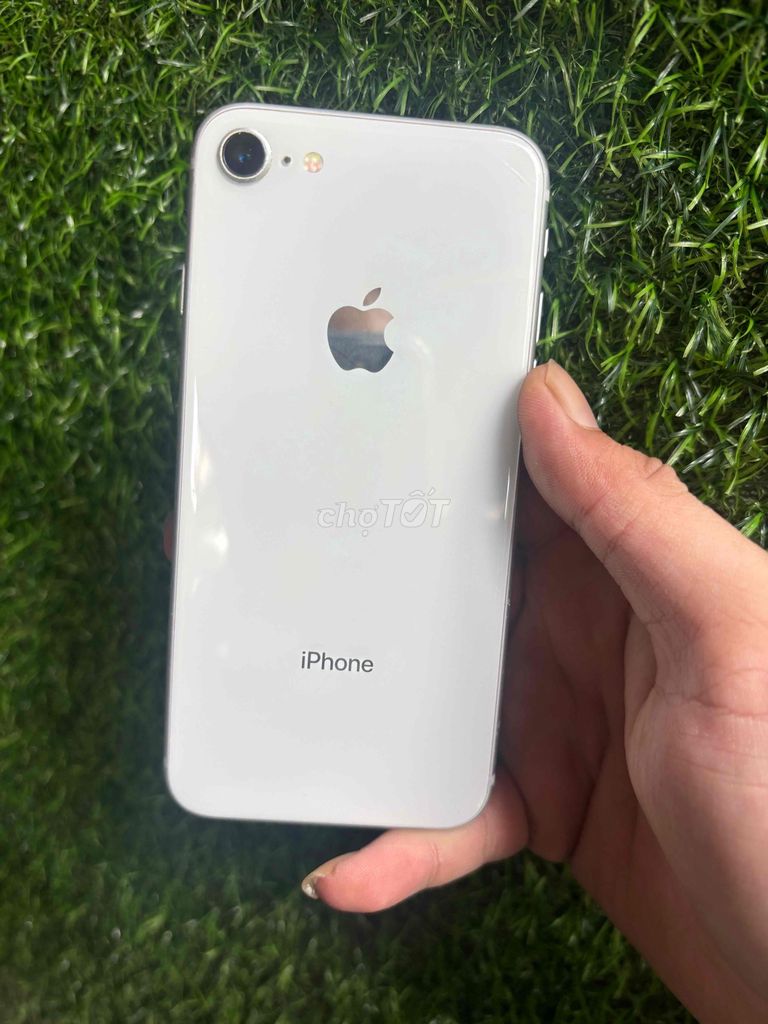 Apple iPhone 8G 64GB Trắng Đã thay pin. Mua bán Điện thoại tại Quận 10 Tp Hồ Chí Minh được đăng bởi Nguyễn Văn Biết hình 1