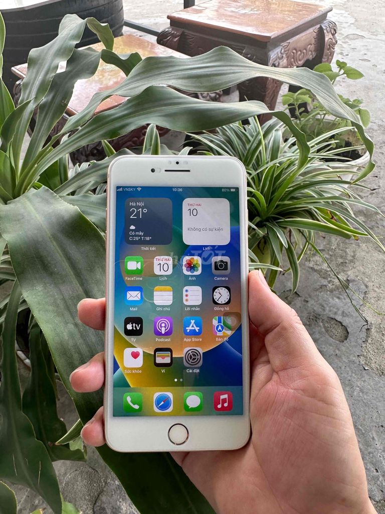 iphon 8plus fun chức năng