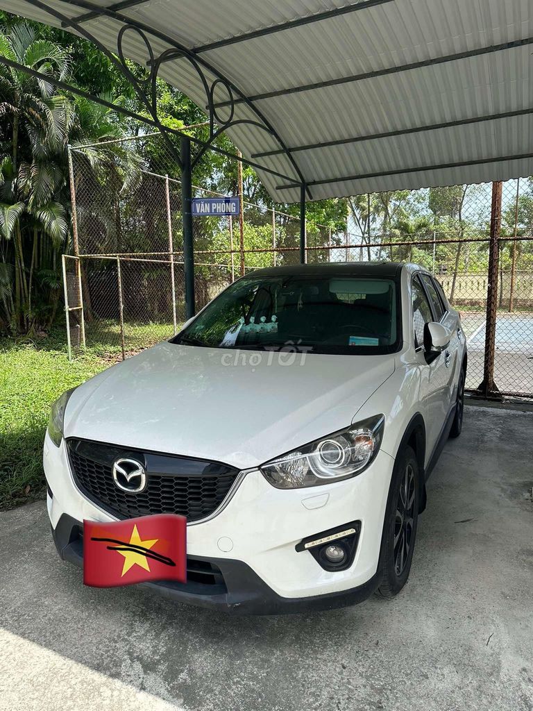 Ảnh số 4