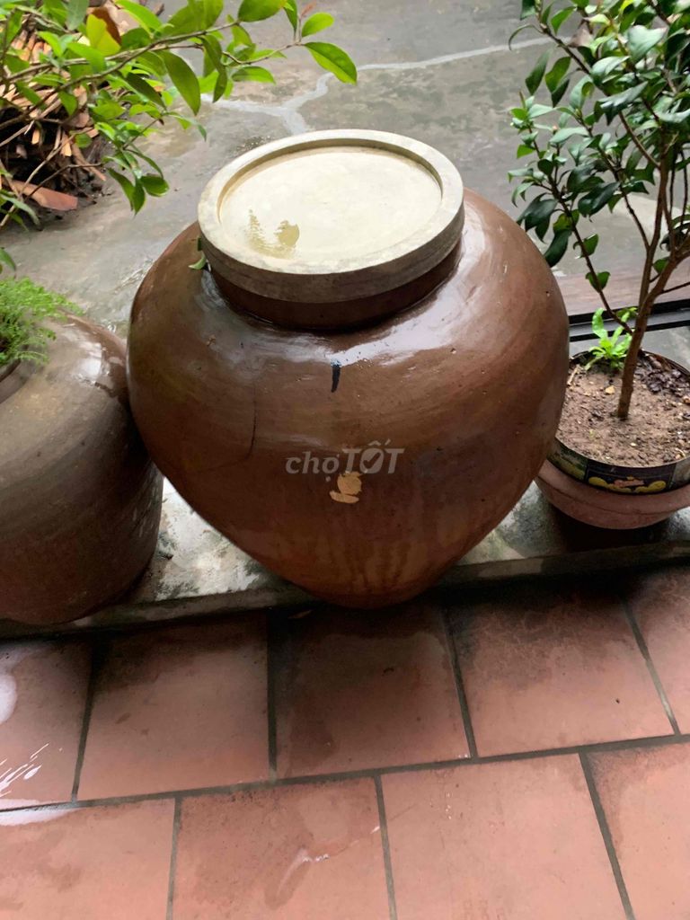 Chum cổ Gốm Nâu Trang trí. Mua bán Đồ sưu tầm, đồ cổ tại Quận Bắc Từ Liêm Hà Nội được đăng bởi người tiêu dùng hình 1