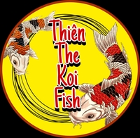 ThiênKoiFish