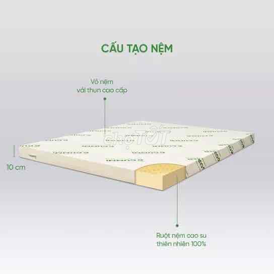 Nệm cao su thiên nhiên Gumi vua nệm