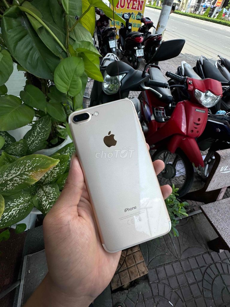 iPhone 7Plus/32GB gold zill ốc