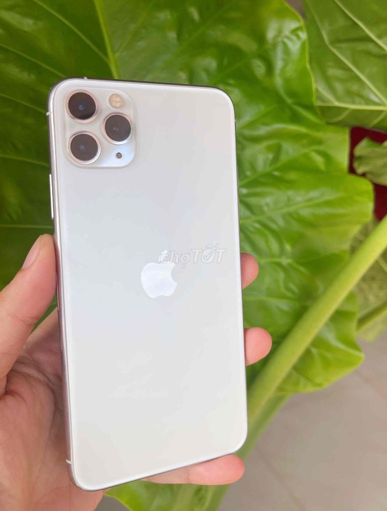 iPhone 11Pro Max 64GB LL