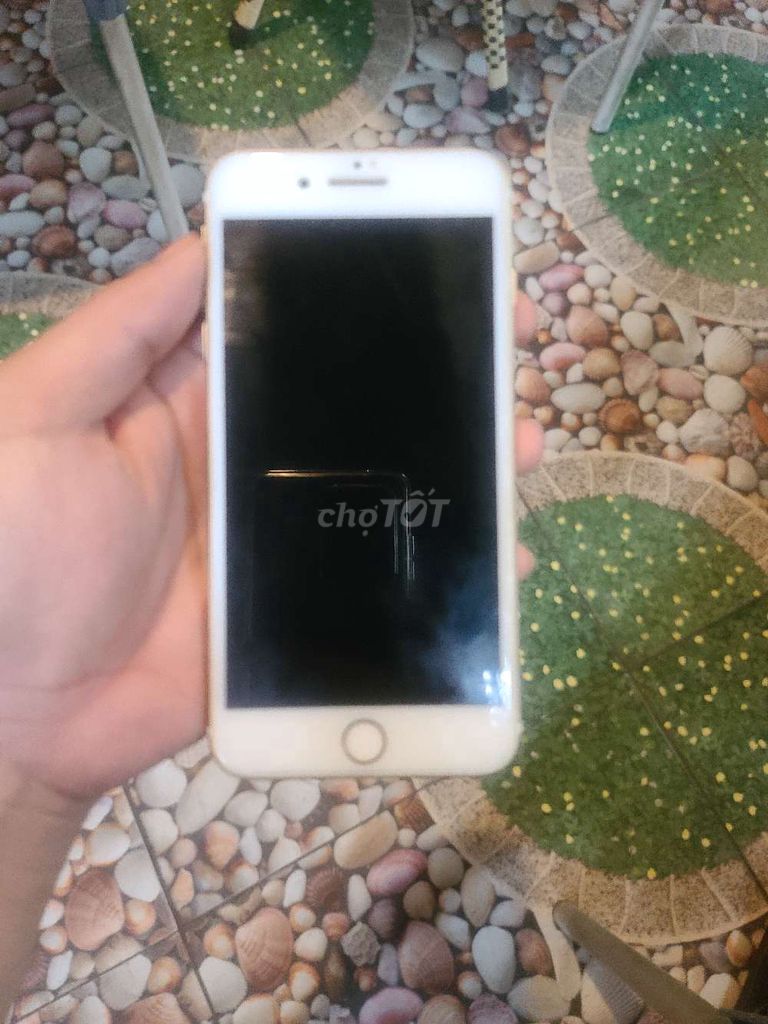 IPhone 7 Plus gold 32gb quốc tế zin all