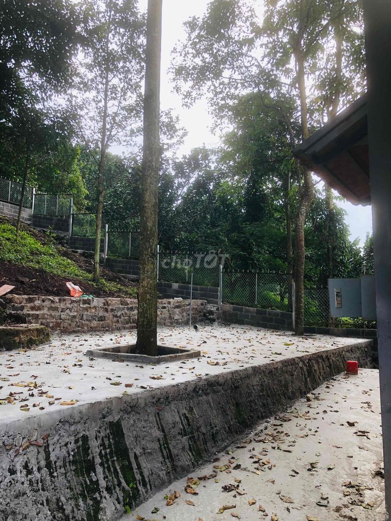 BÁN ĐẤT CĂN NHÀ VƯỜN XUÂN LẬP LONG KHÁNH 2ty3 823m