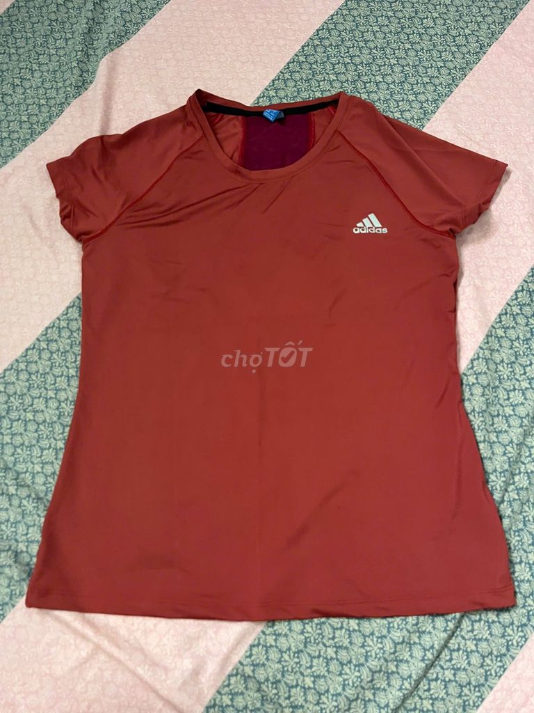 Áo thun thể thao Adidas Nữ Vải thun co giãn. Mua bán Đồ thể thao, Dã ngoại tại Quận Tân Phú Tp Hồ Chí Minh được đăng bởi 2hand luxury hình 1