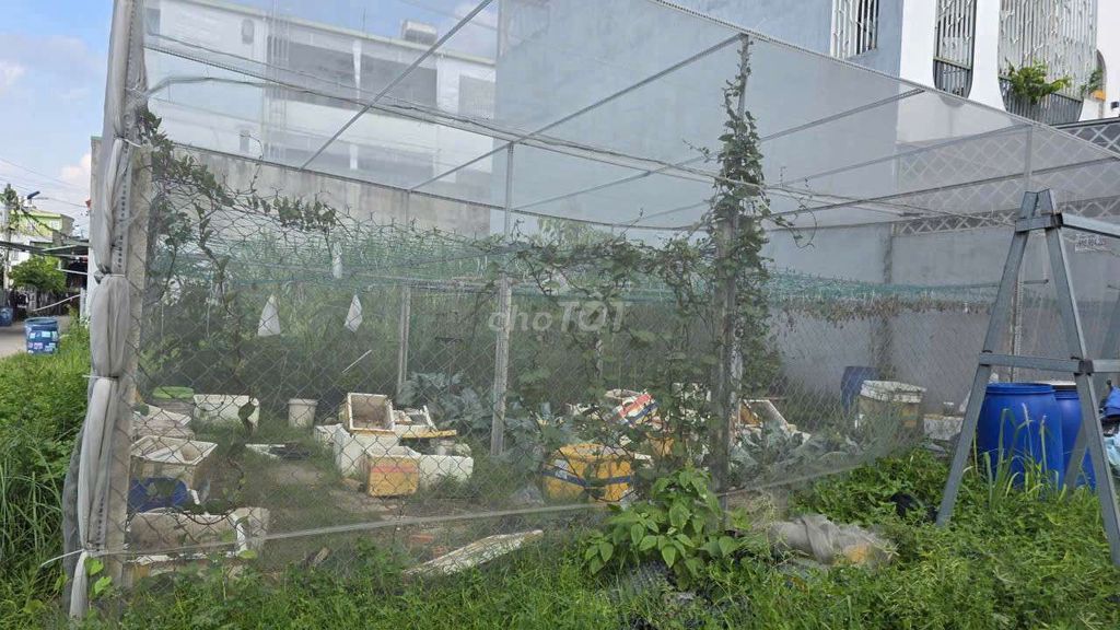 Trụ bê tông 10x10x250cm số lượng 12 trụ. Mua bán Đồ chuyên dụng, Giống nuôi trồng tại Thành phố Thủ Đức Tp Hồ Chí Minh được đăng bởi Vinh hình 1