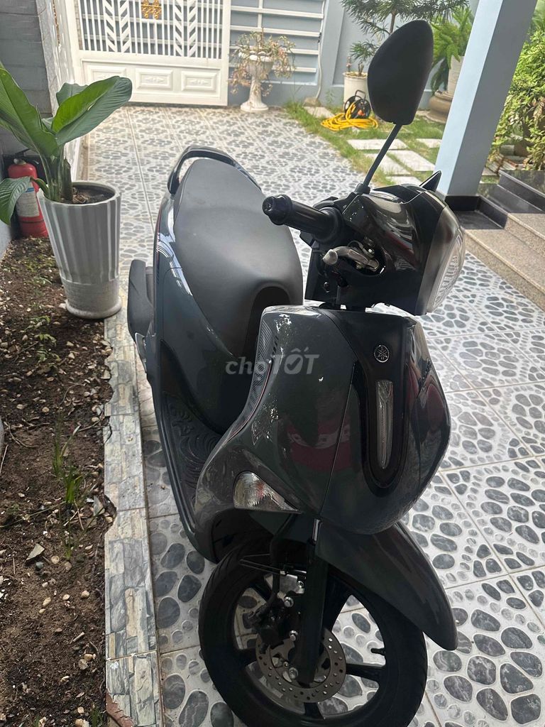 Yamaha Janus 2026 Серый
